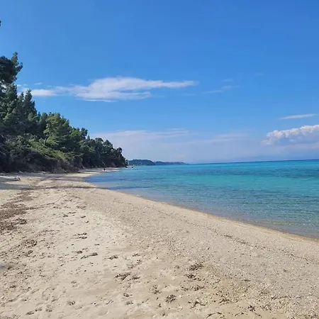 Gardenia Case de vacanță