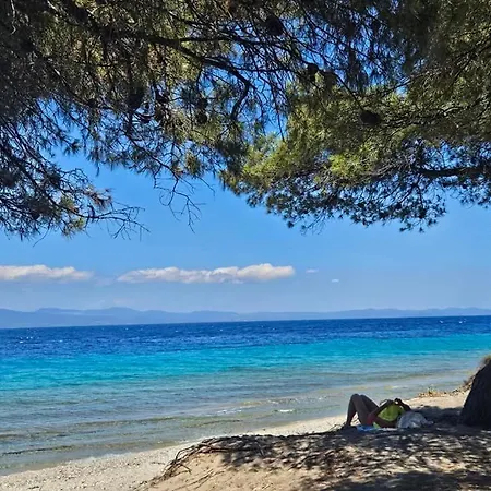 Casa vacanze Gardenia *