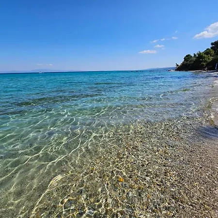 Gardenia Case de vacanță *