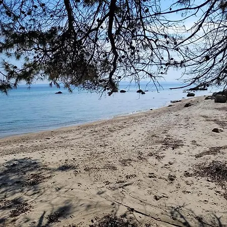 Gardenia Case de vacanță *